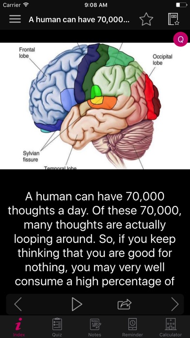 Human Brain Facts & Quiz 2000 screenshot 4