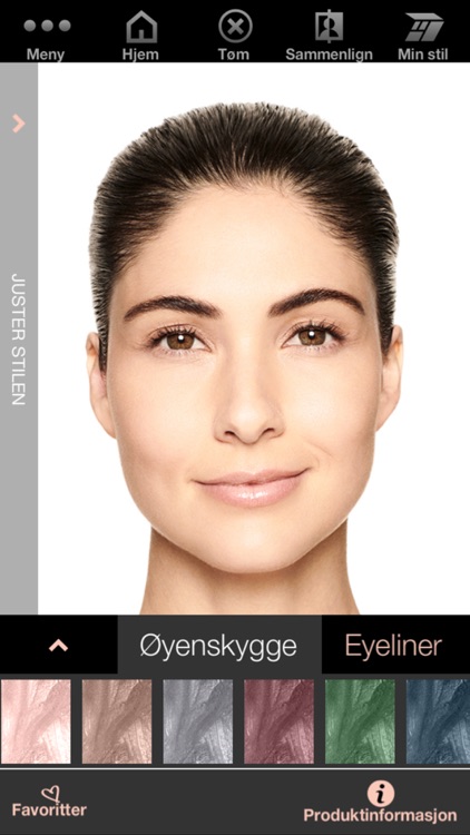 Mary Kay - Virtual Makeover