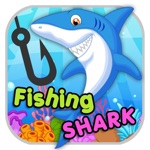 Câu cá Shark Animal Aquarium