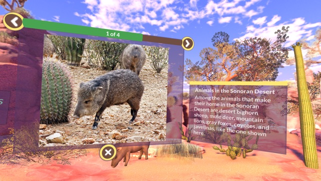 PI VR Wildlife(圖3)-速報App