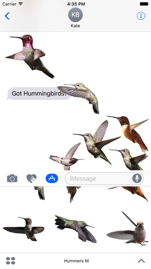 Hummingbirds - Medium (Retina)