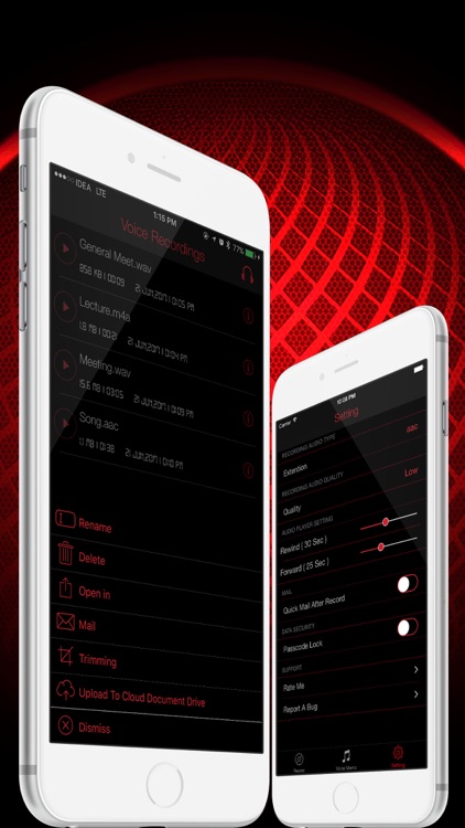 HD Audio Recorder Pro screenshot-4