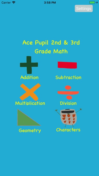 Ace Pupil 2nd & 3rd Grade Math