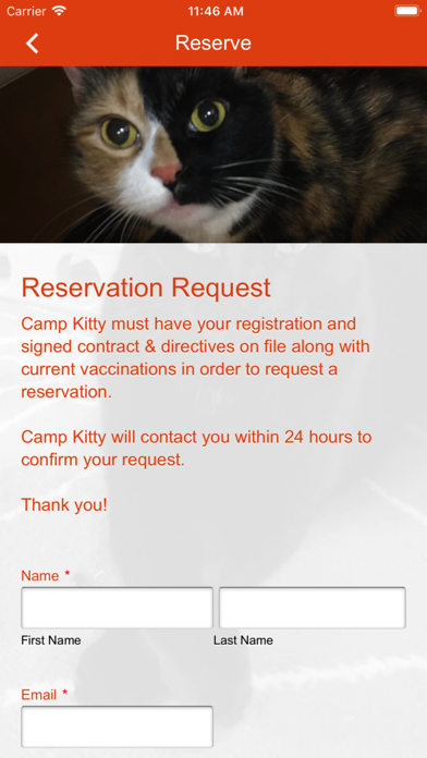 Camp Kitty screenshot 3