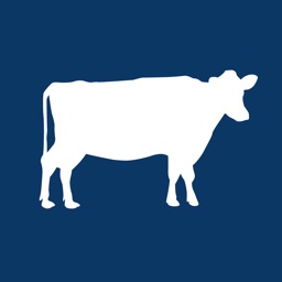 COW - Photos market app.