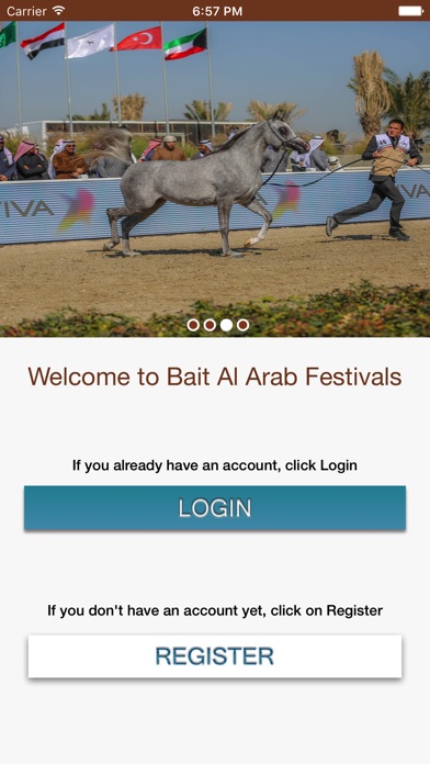 BAA Festival screenshot 2