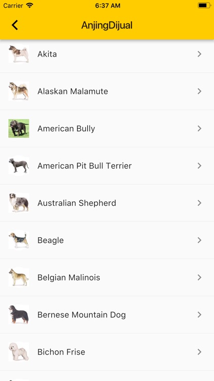 Anjingdijual By Lindawaty