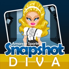 Activities of SnapShot DIVA