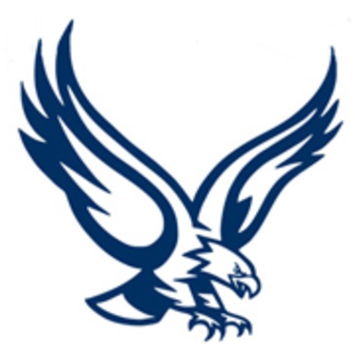 Hillview Hawks