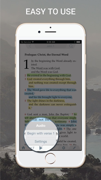 Breathe Bible