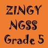 Zingy NGSS Grade 5
