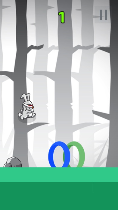 Hoop Jump! screenshot 3