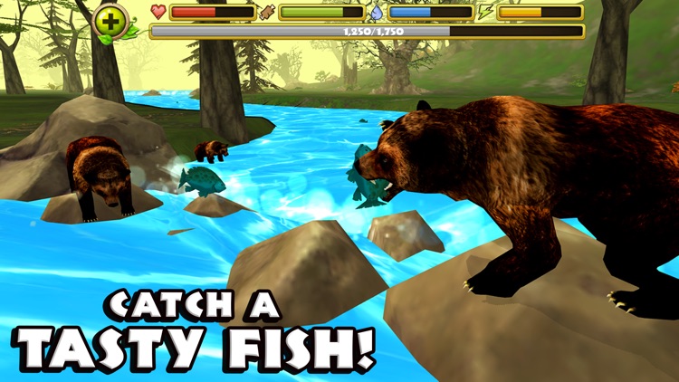 Wildlife Simulator: Bear