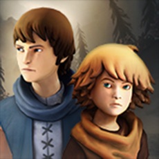 Activities of Brothers: A Tale of Two Sons