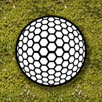 Go Go Golf pour PC