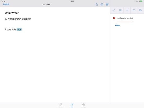 iPad Screenshot 1