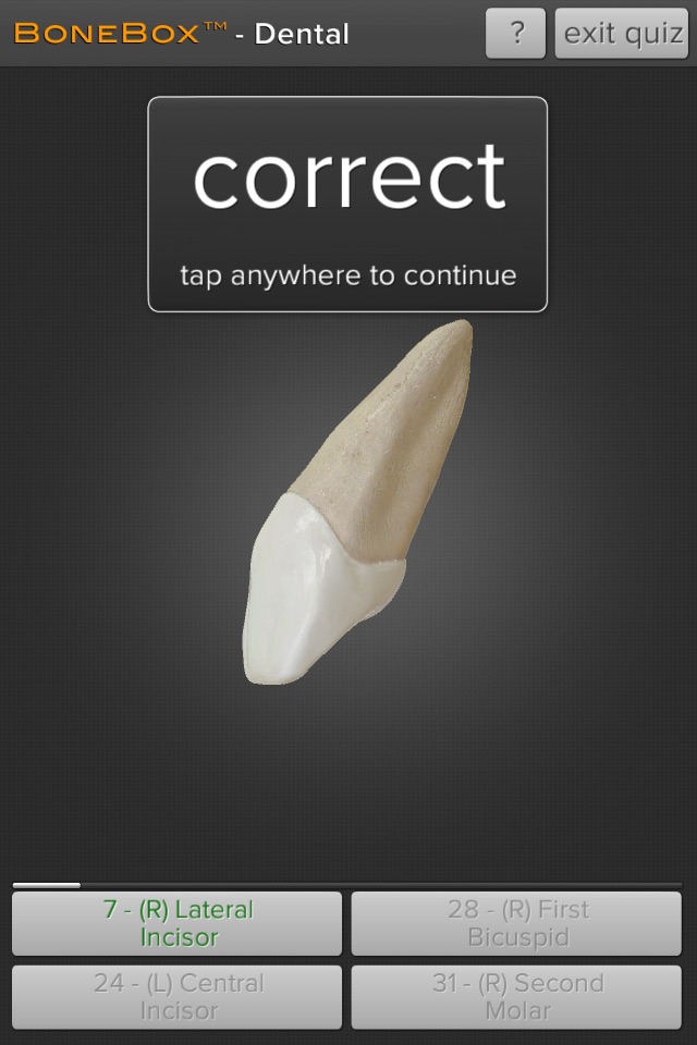 BoneBox™ - Dental Lite screenshot 3
