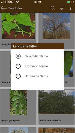 Key to Trees of South Africa(圖6)-速報App