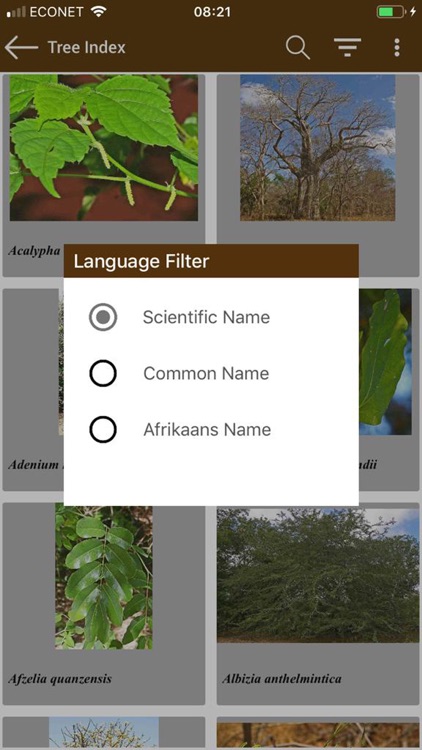 Key to Trees of South Africa screenshot-5