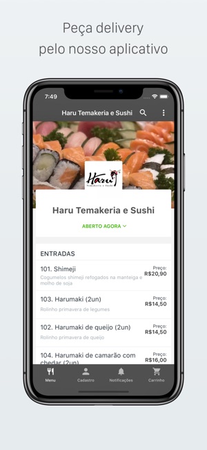 Haru Temakeria e Sushi