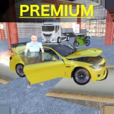 Activities of Pro Extreme Car Driver Premium