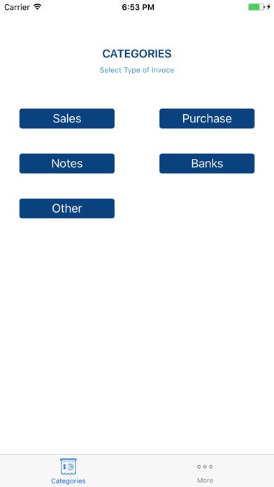 Al Meezan Accounting screenshot 4