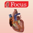 Top 30 Medical Apps Like HEART -  Digital Anatomy - Best Alternatives