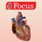 The Focus Digital Atlas on Heart is a tool to enhance knowledge and comprehension on –