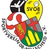 SV 08 Hillscheid