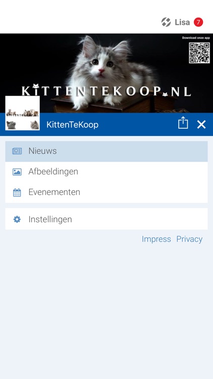 KittenTeKoop