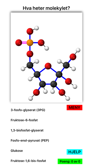 Glykolyse(圖7)-速報App