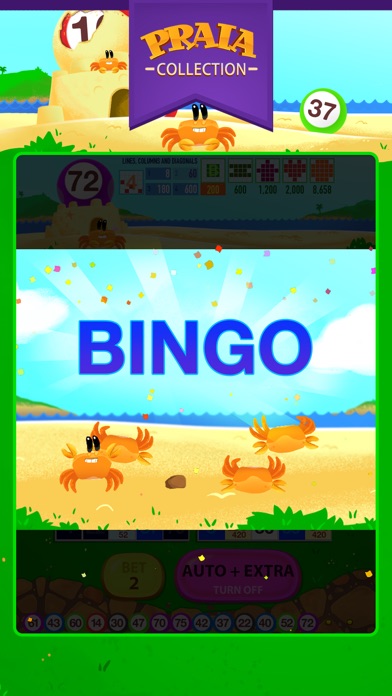 Video Bingo Buzios screenshot 2