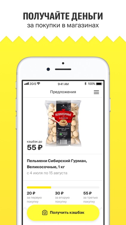 2ГИС Чек
