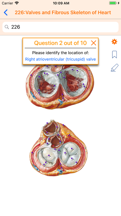 Netter's Anatomy Atlas 7e screenshot 4