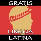 Lingua Latina Nouns: Academia