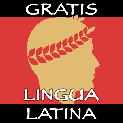 Lingua Latina Nouns: Academia Icon