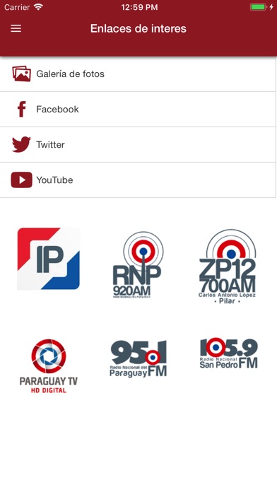 Agencia IP Paraguay screenshot 4