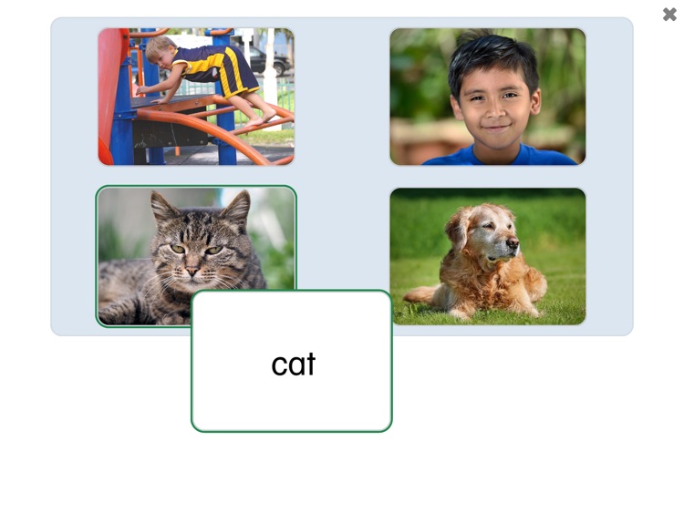 See and Learn Phrases 3 screenshot-5