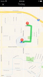 Moves Lite Captura de tela 2