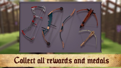 Medieval Archery Big Contest screenshot 3