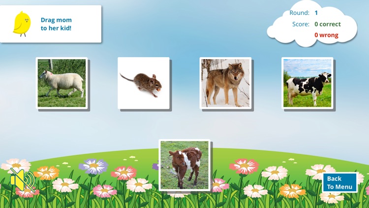 Animals. Find a match