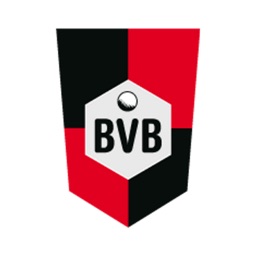 Handball SV BVB 49 e.V.