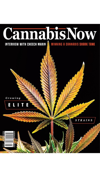 Cannabis Now