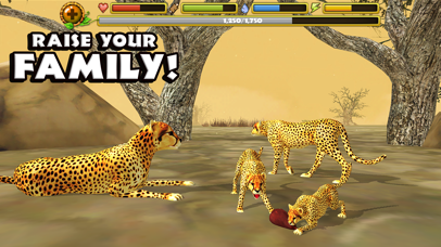 Cheetah Simulator Screenshot 4