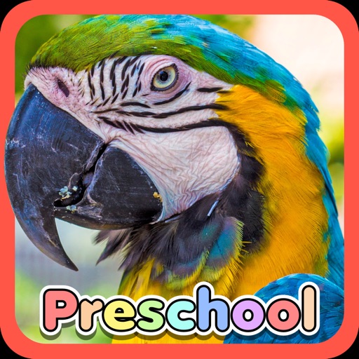 Wild Animal Preschool Games Icon