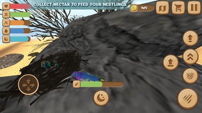 Tiny Humming Bird Simulator screenshot 3