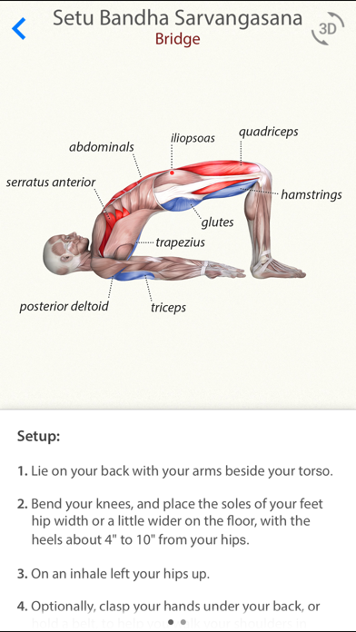 3D Yoga Anatomy Lite screenshot1
