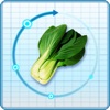 上海蔬菜生产管理信息系统