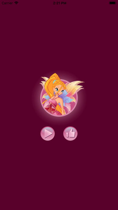 WinX Maker screenshot 4