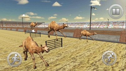 Desert Camel Race 2018 screenshot 4